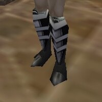 Walking Boots Thananim Live.jpg