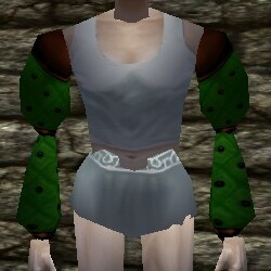 File:Studded Leather Sleeves Live.jpg