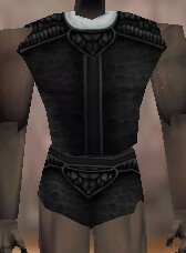 File:Armoredillo Hide Cuirass Thananim Live.jpg