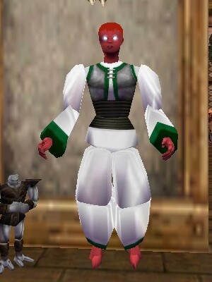 File:Pathwarden Robe (Gharu'ndim) Argenory Live.jpg