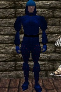 File:Studded Leather Armor Colban Live.jpg