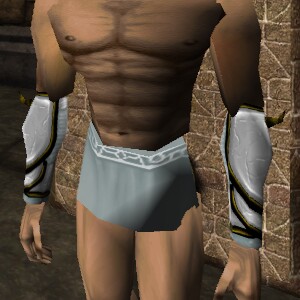 File:Olthoi Bracers (Loot) Live.jpg