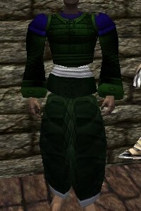 File:Amuli Armor Verdalim Live.jpg