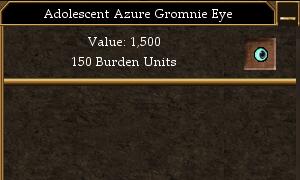 File:Adolescent Azure Gromnie Eye.jpg