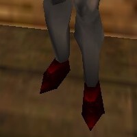 Shoes Hennacin Live.jpg