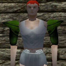 File:Platemail Pauldrons Live.jpg