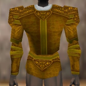 File:Armoredillo Hide Coat Fail Live.jpg