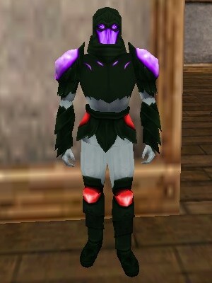 File:Sedgemail Leather Armor Verdalim Live.jpg