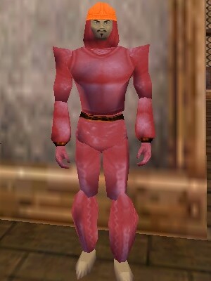 File:Leather Armor (Store) Fail Live.jpg