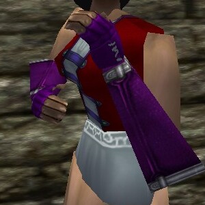 File:Long Leather Gauntlets Live.jpg