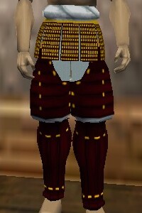 File:O-Yoroi Leggings Hennacin Live.jpg