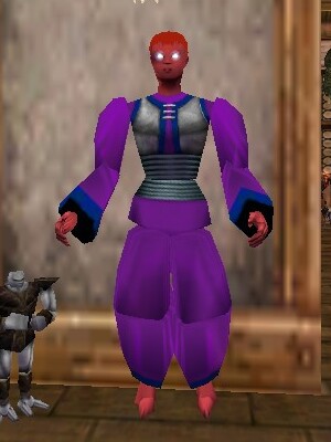 File:Pathwarden Robe (Gharu'ndim) Relanim Live.jpg