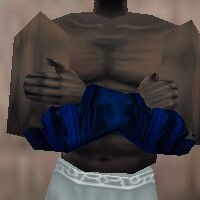 File:Armoredillo Hide Bracers Colban Live.jpg