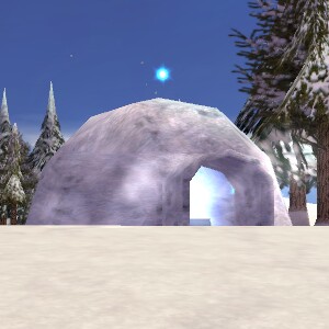 89.0N, 1.6W - Igloo Live.jpg