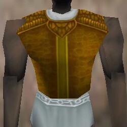 File:Armoredillo Hide Breastplate Fail Live.jpg