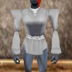 File:Flared Shirt Argenory Live.jpg