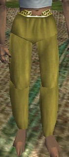 Baggy Pants (Yellow) Live.jpg