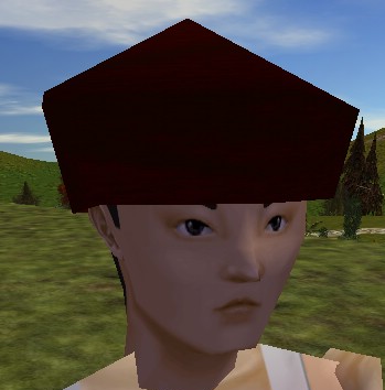 File:Cap (Store) Nanto Brown Live.jpg