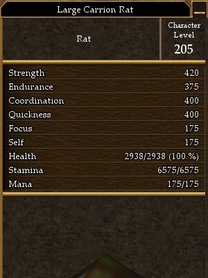 File:Large Carrion Rat.jpg