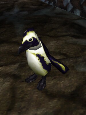 File:Cave Penguin Live.jpg
