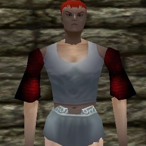 File:Chainmail Pauldrons Live.jpg