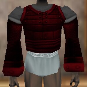 File:Amuli Coat (The Crafter) Hennacin Live.jpg