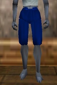 File:Loose Breeches Colban Live.jpg