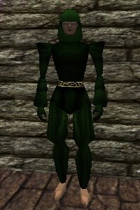 File:Chainmail Armor Verdalim Live.jpg