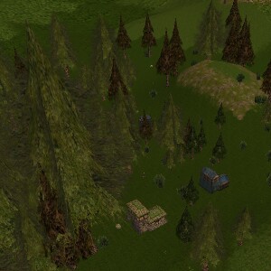 Pine Hillock Settlement Live.jpg