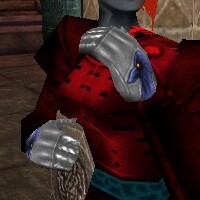 File:Mitts of the Hunter Argenory Live.jpg