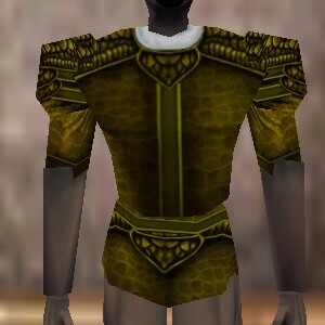 File:Fine Armoredillo Hide Shirt Berimphur Live.jpg