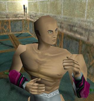 File:Olthoi Bracers Verdalim Live.jpg