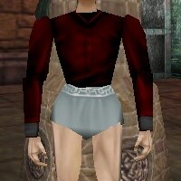 File:Poet's Shirt Hennacin Live.jpg