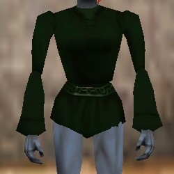 File:Loose Shirt Verdalim Live.jpg