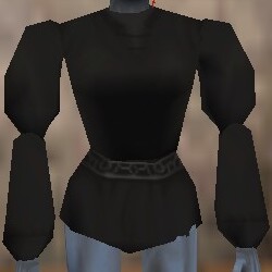 Puffy Shirt Thananim Live.jpg