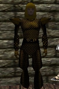 Scalemail Armor Berimphur Live.jpg