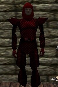 File:Scalemail Armor Hennacin Live.jpg
