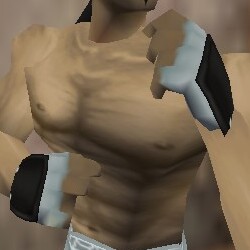 File:O-Yoroi Gauntlets Thananim Live.jpg