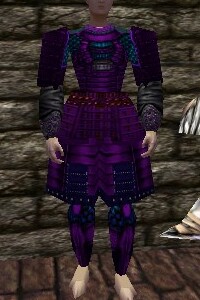 Koujia Armor Relanim Live.jpg