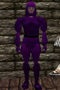 File:Studded Leather Armor Relanim Live.jpg