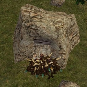 File:34.5S, 68.3E - Shreth Cave Live.jpg