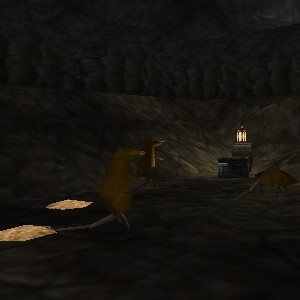 File:A Rat Nest 2 Live.jpg