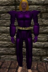 File:Platemail Armor Relanim Live.jpg