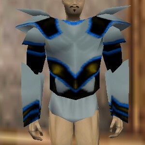 File:Coat of Darkness Berimphur Live.jpg