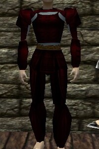 Yoroi Armor Hennacin Live.jpg