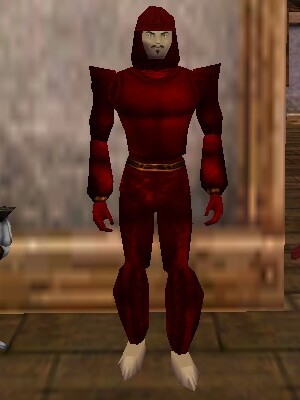 File:Leather Armor (Store) Hennacin Live.jpg