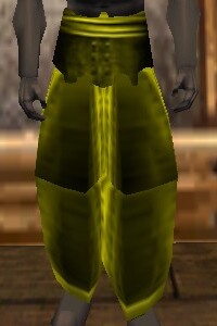 File:Heavy Gromnie Hide Leggings Berimphur Live.jpg