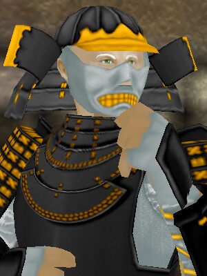 O-Yoroi Armor Live 3.jpg