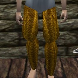 Chainmail Leggings Live.jpg