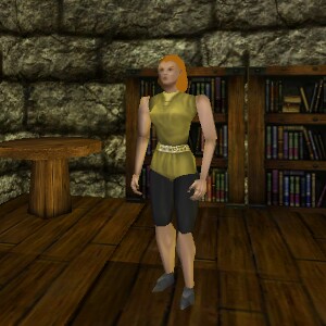 File:69.9N, 16.6E - Menhir Ring Live.jpg